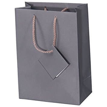 RJ Displays 10 Pack Large Gray Matte Paper Gift Bags with Handles, Solid Shopping Tote Bag, Paper Gifts Bags for Retail Sales, Weddings & Gifts Giving, Large Gift Bag with Handles, 8 x 5 x 10 Inches