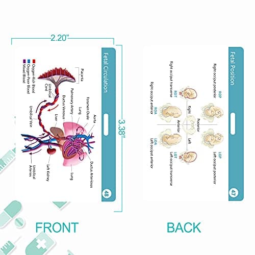 Nursing Badge Reference Cards - New 2021｜Nursing Cheat Sheets, 47 Waterproof Nurse Reference Cards (Include Pharmacology, Respiratory, EKG, OB/L&D, Pediatrics, Endocrine, Neurology etc)