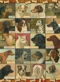 Mervil Paylor, Bow! Wow! Jigsaw Puzzle