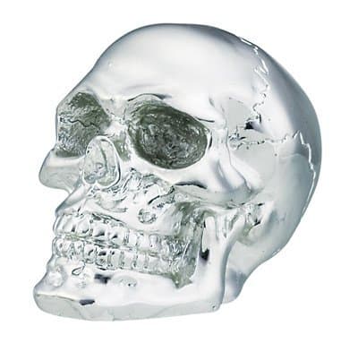 Shift Knobs - Chrome Skull Shift Knob - Cold Cast Resin - 2.5" Height