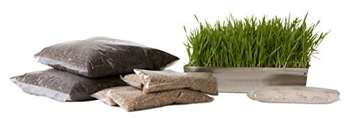 Wheatgrass Growing Starter Kit with Drip Tray