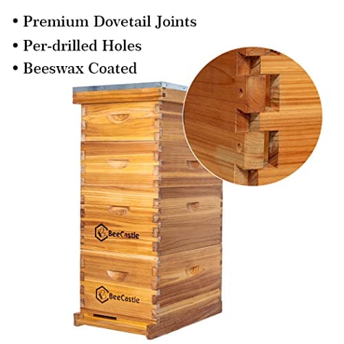 Bee Hive 8 Frame Complete Honeycomb and Supply Starter Kit, Bee Wax Coated Honeycomb Frame and Wax Foundation, 2 Deep Hive Boxes and 2 Medium Honeycomb Super