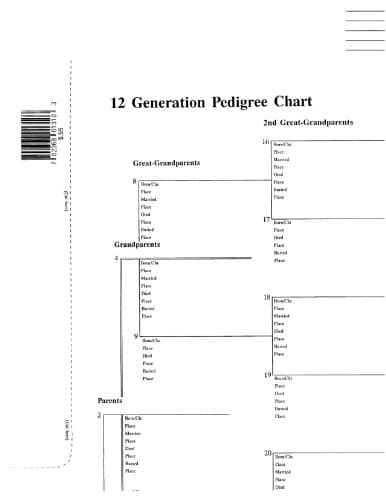 12 Generation Pedigree Chart - 10 pack