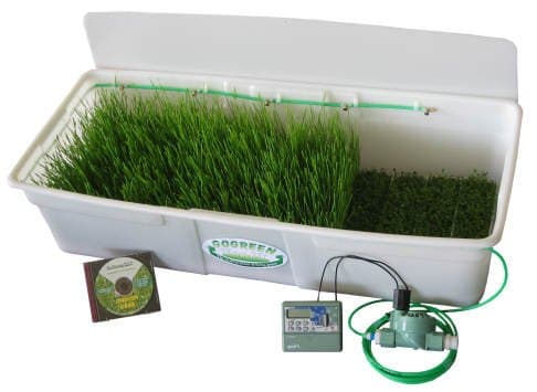 GoGreen Automatic Sprouter - Large