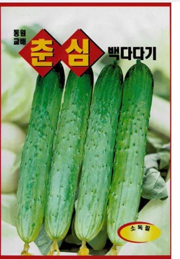 Cucumber Seed Korean 2pack