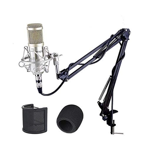 Mugig Condenser Microphone, Professional Studio Microphone with Shock Mount, Adjustable Microphone Stand, XLR Cable and Pop Filter for Recording, Voice Overs, Podcast, Games and YouTube Videos