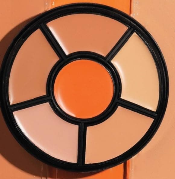 Cosmetics Pro Concealer Palette (Concealer)