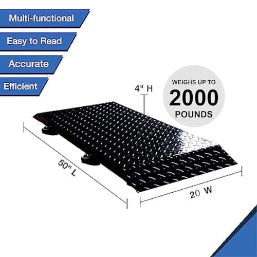 Medium Animal Scale: 50" x 25"