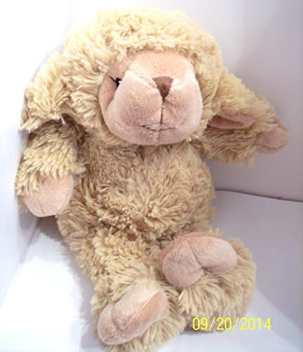 Lamb DVD – January 1, 2003