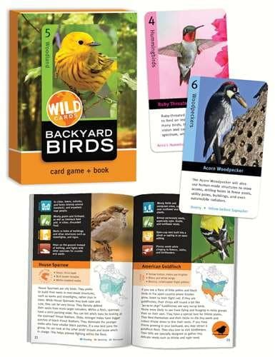 Backyard Birds Card Game