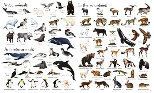 1000 Animals