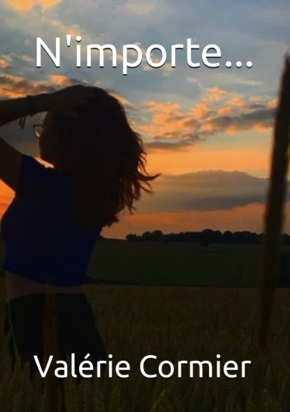 N'importe... (French Edition)