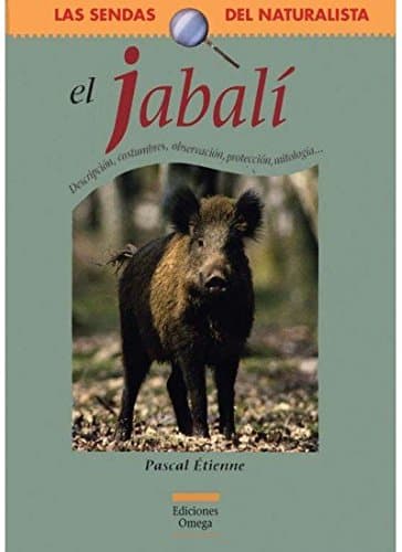 EL JABALÍ