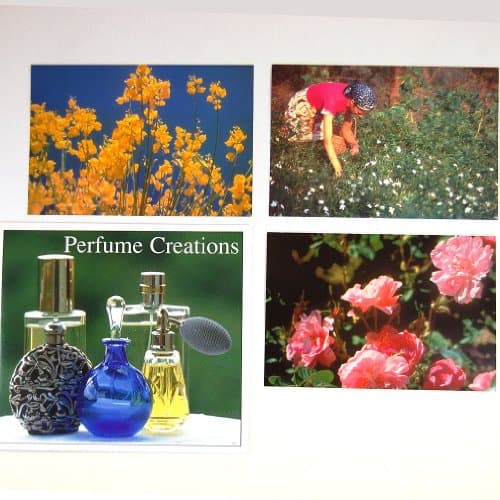 Perfume Creations