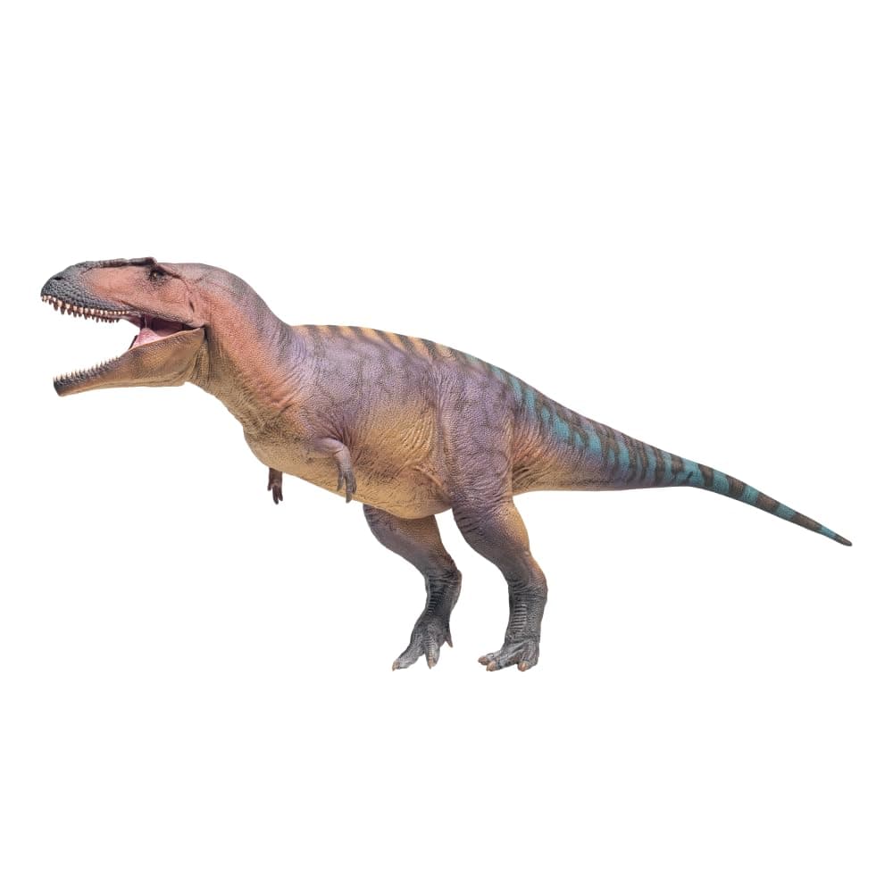 Prehistoric Dinosaur Models:83 Mateo the Tyrannotitan