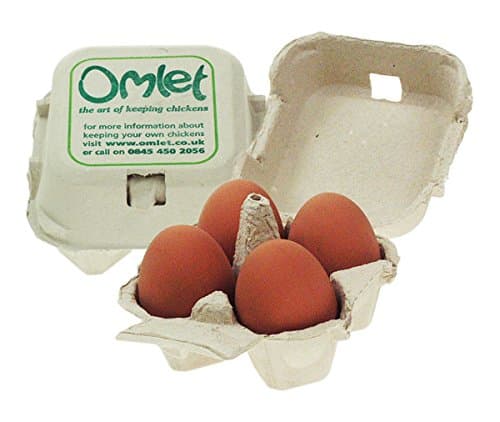 Omlet Egg Boxes - 20 Pack - Holds Four Eggs