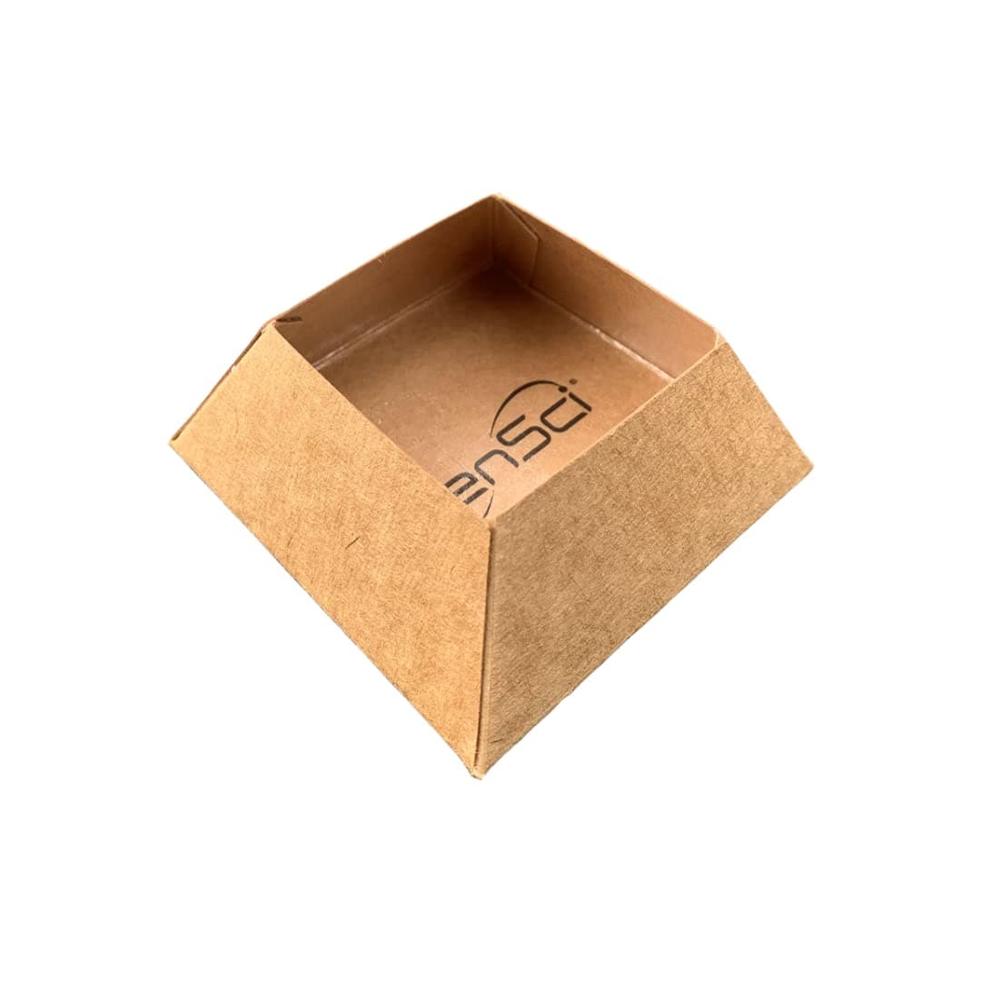 Pyramid Pitfall Trap - Ready-to-Use Glue Traps,12 Pack