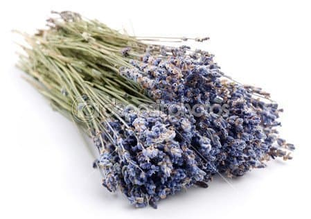 Dried Lavender Bunch