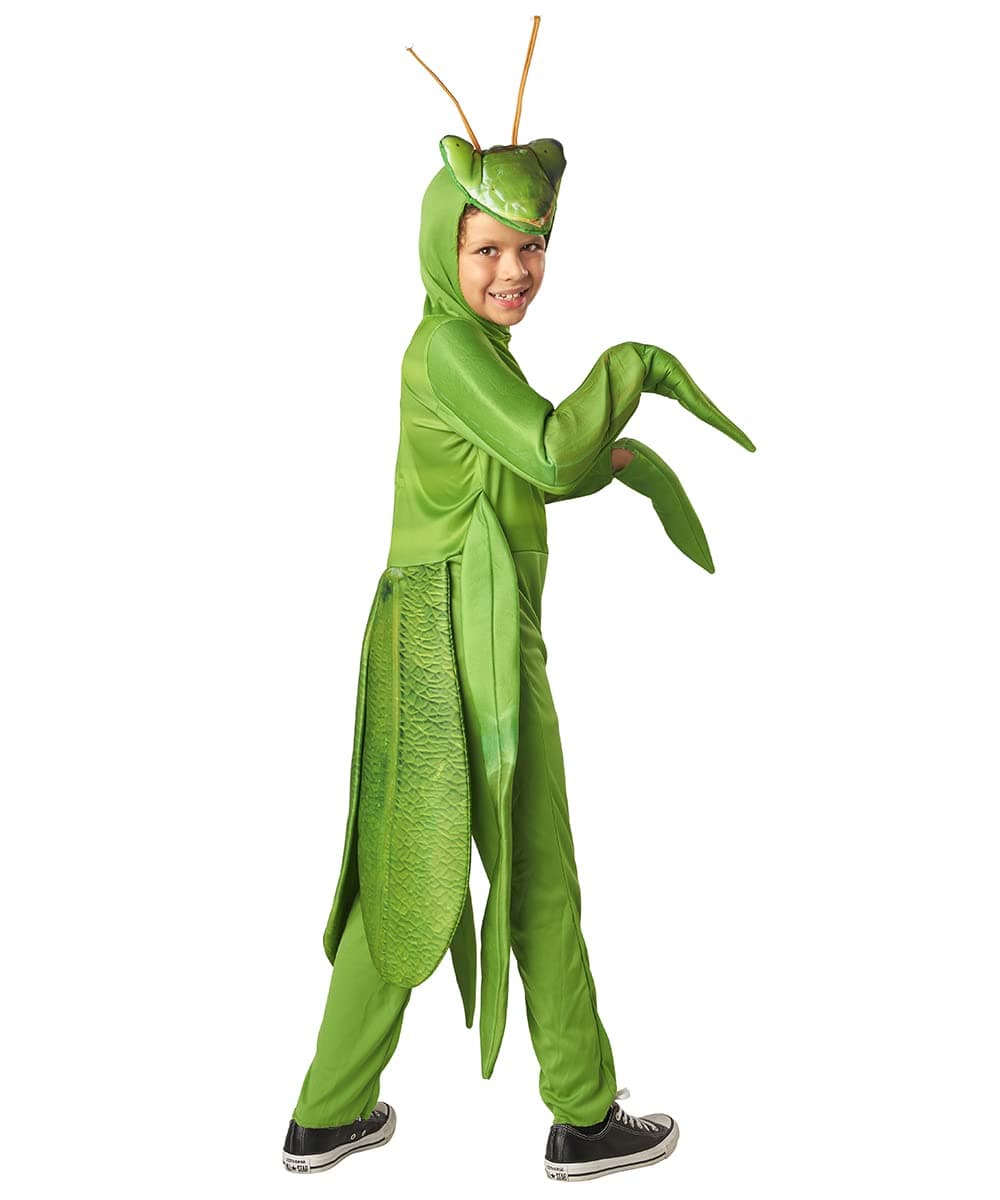 Child Praying Mantis Costume