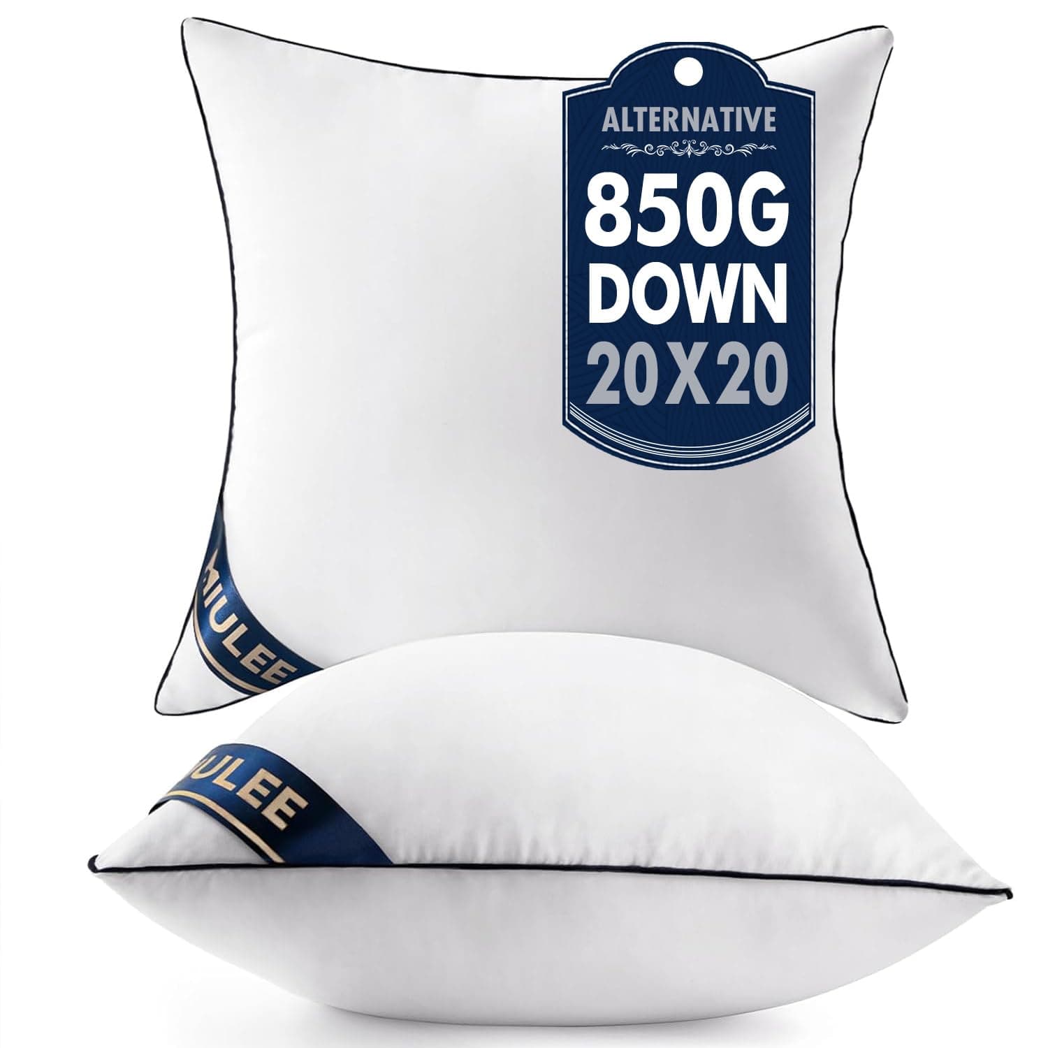 20x20 Pillow Inserts Set of 2 Throw Pillows 20 Inch Premium Down Alternative Pillow Inserts Decorative Pillow Stuffer for Sofa, Couch (20x20 inch, Set of 2)