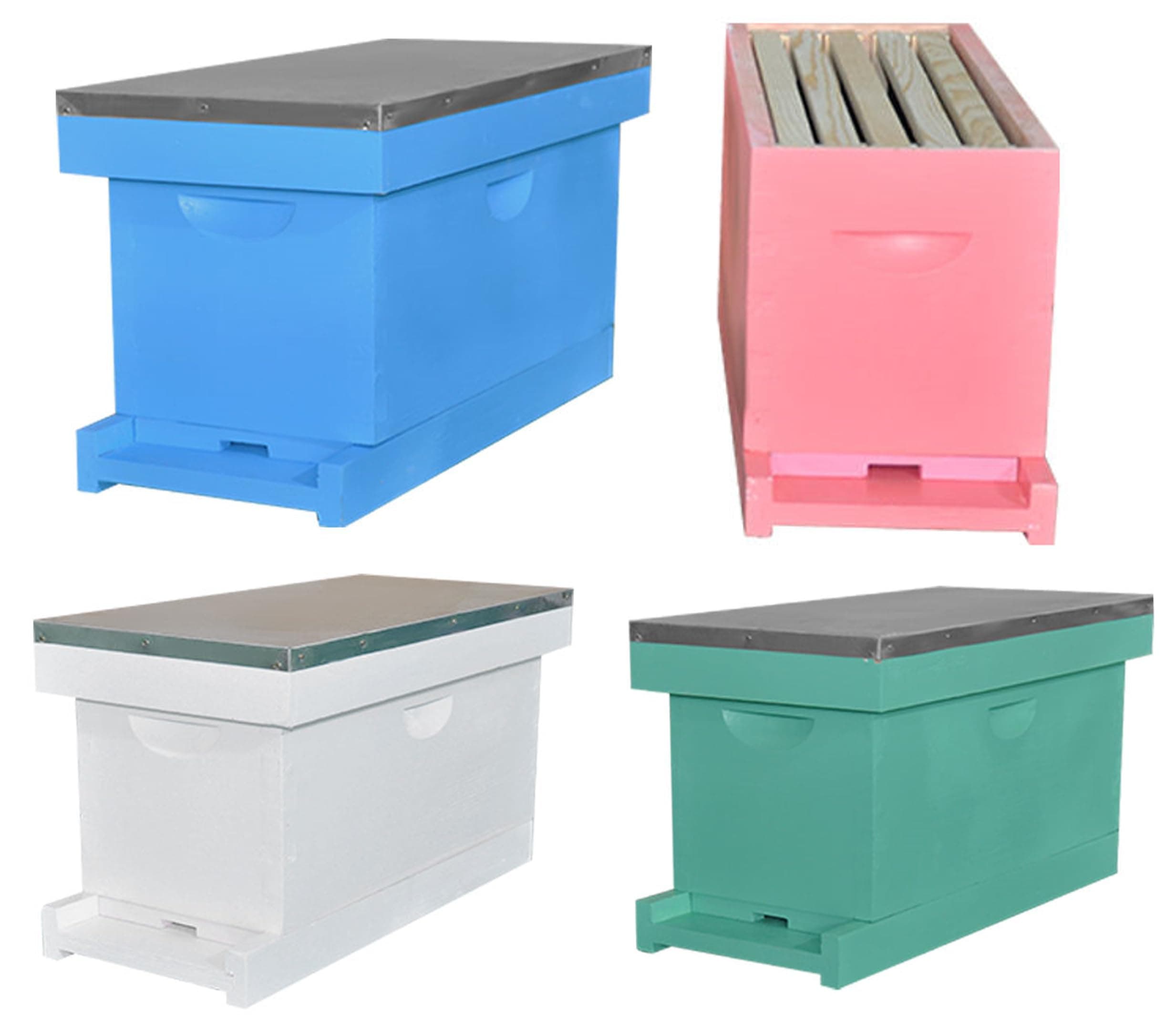 Complete 5 Frame Bee Nuc Box Painted with Waxed Foundation Frames (White)