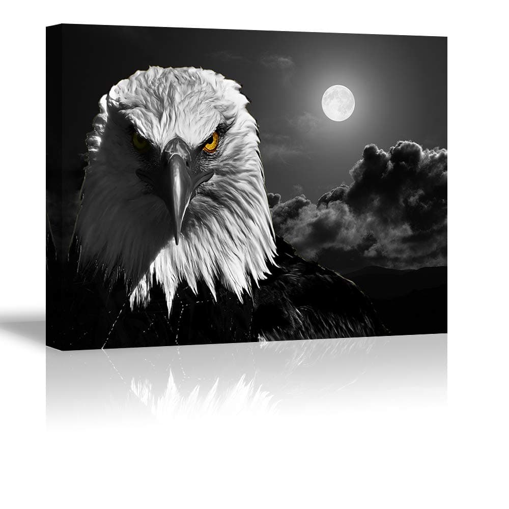 Animal Canvas Prints
