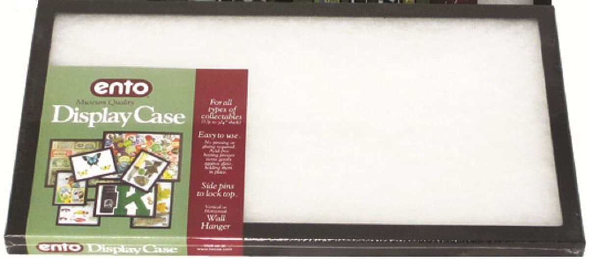 Museum Quality Display Case