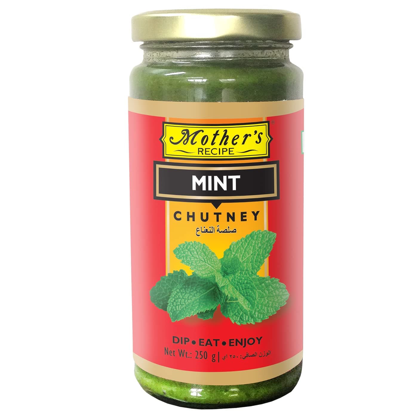 Mother's Recipe - Mint Chutney (250 g)
