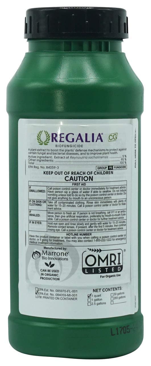 Regalia CG Quart