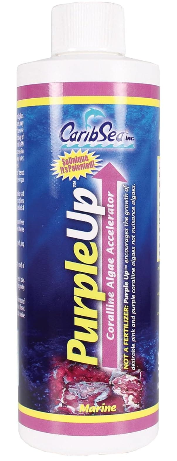 Purple Up Algae Accelerator, 8-Ounce