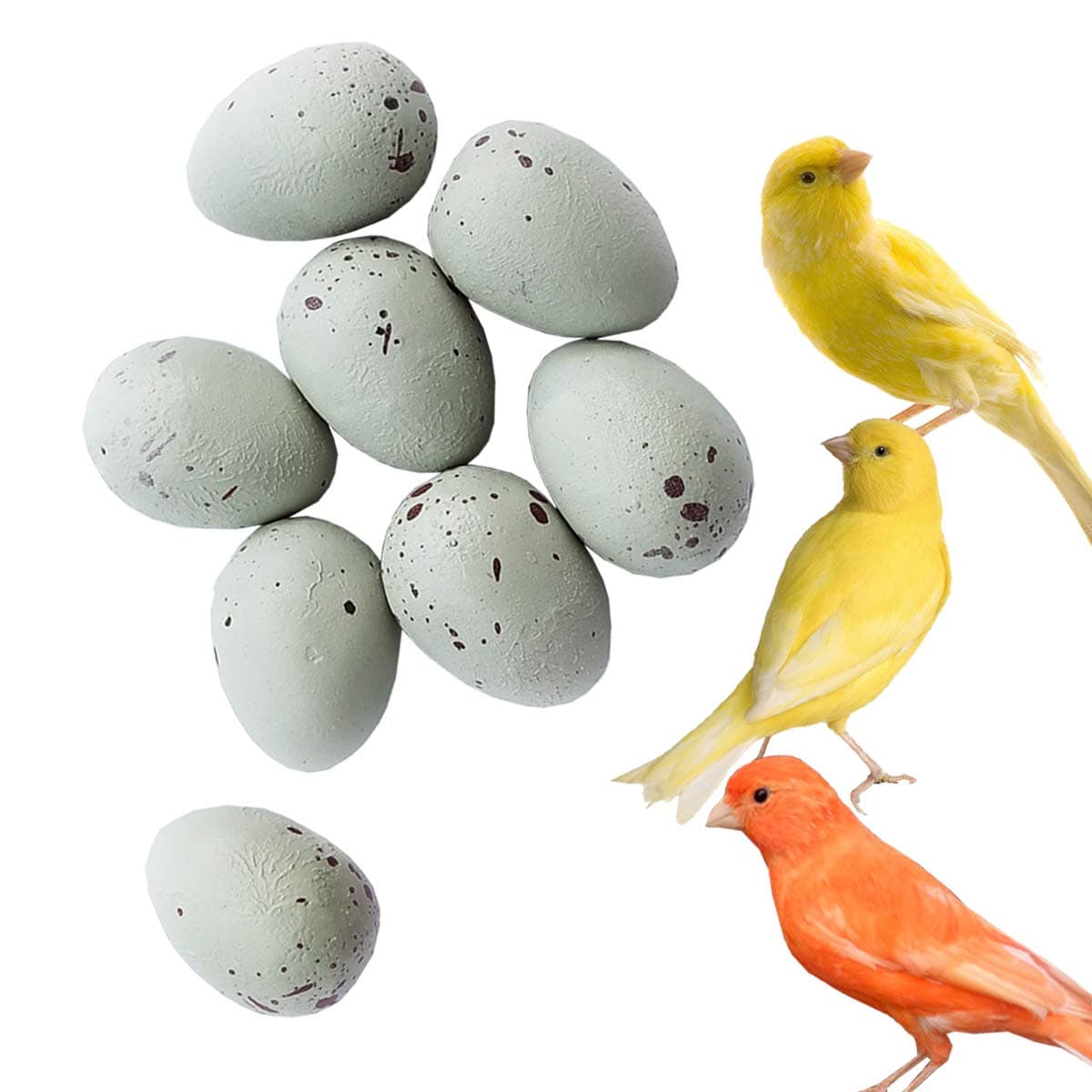 FOIBURELY 8 Pcs Solid Canary Dummy Eggs Hatching Eggs Trick The Birds to Stop Laying Eggs, Dummy Eggs（19mm13mm）