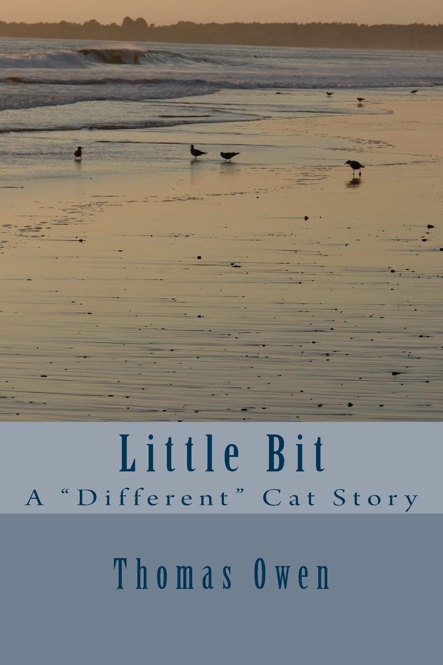 Little Bit: A "Different" Cat Story