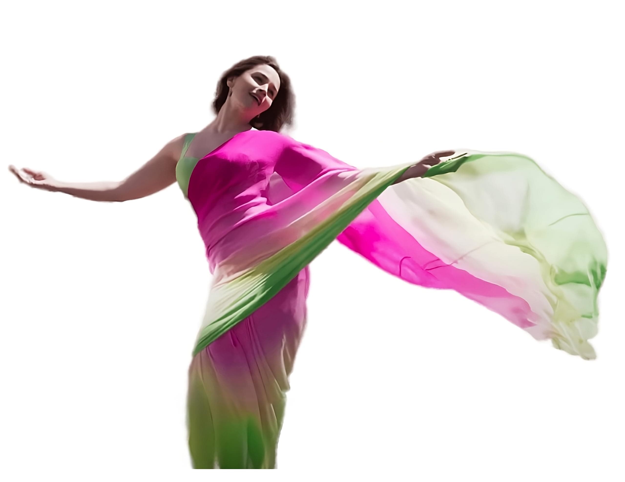 Sidhidata Women's Aa Saree