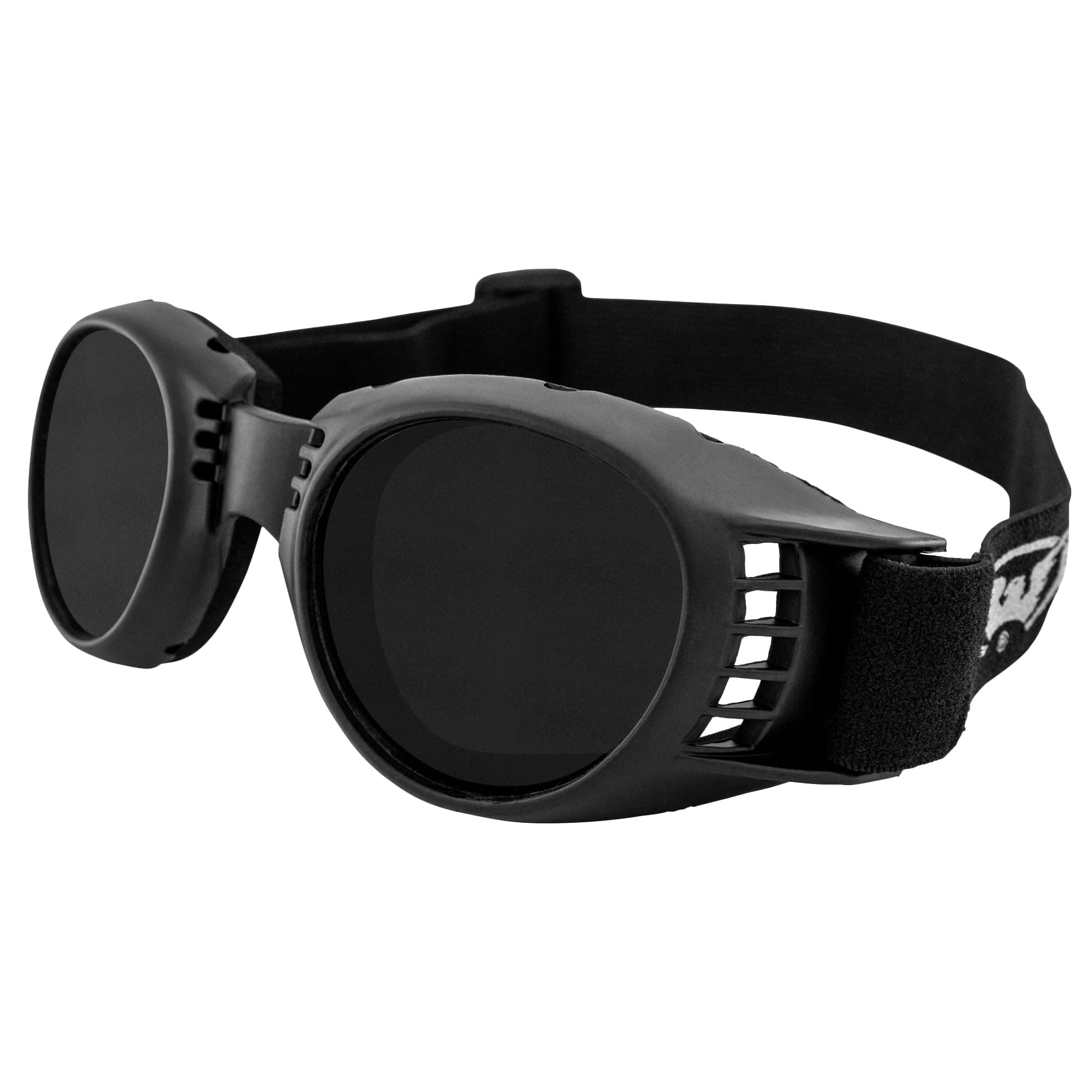 Global Vision Paragon Goggles PARASD