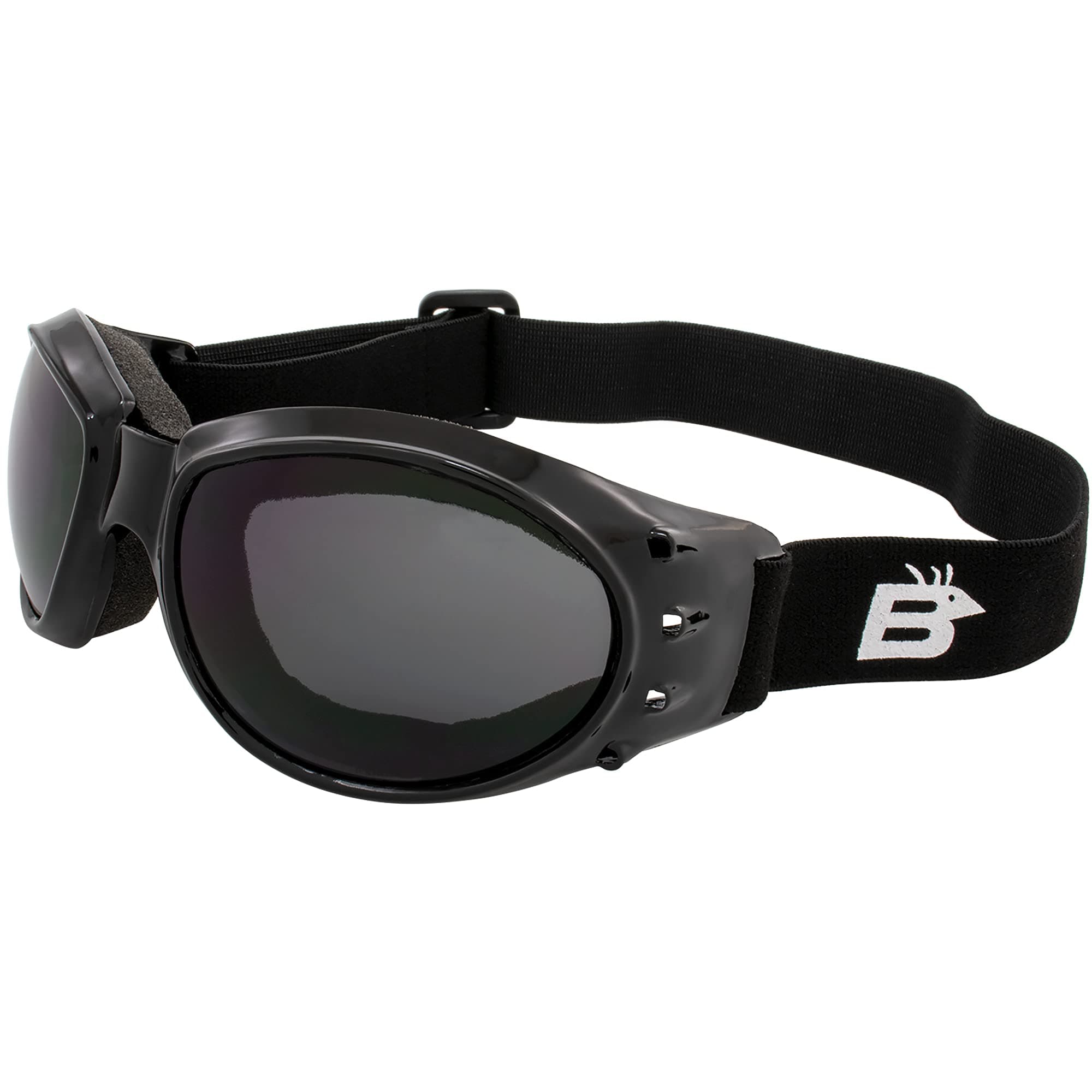 Eyewear Eagle Motorcycle Goggles