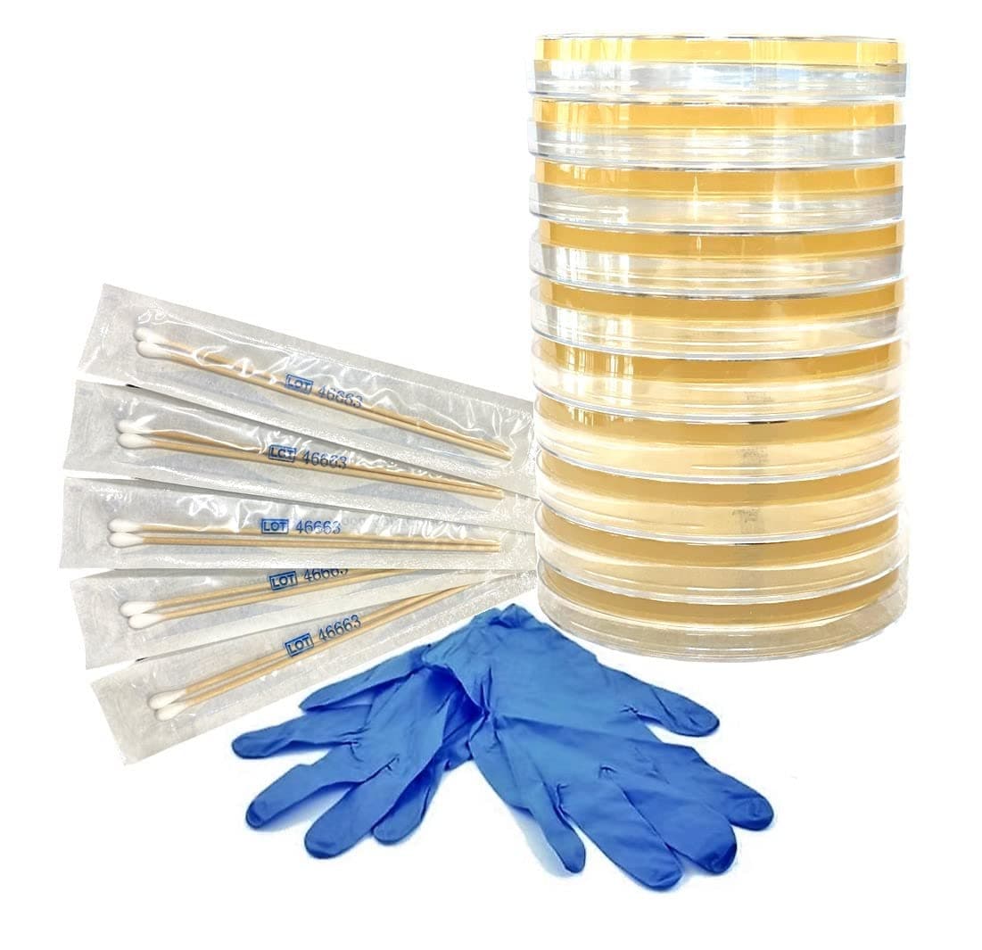Essential 2.0 Bacteria Growing Science Kit. Pre-Poured Agar Plates (100mm) with Gloves & Swabs. Perfect for Kids. Great for Learning About Microbiology. Free Project Guide eBook Available.