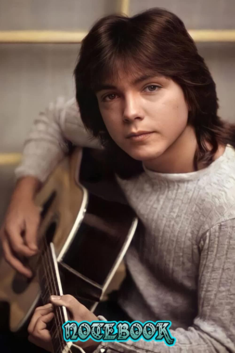 Notebook : David Cassidy Notebook & Journal 6 x 9 inch; 15.24 x 22.86cm Gift Ideas for Fan Thankgiving Notebook #227