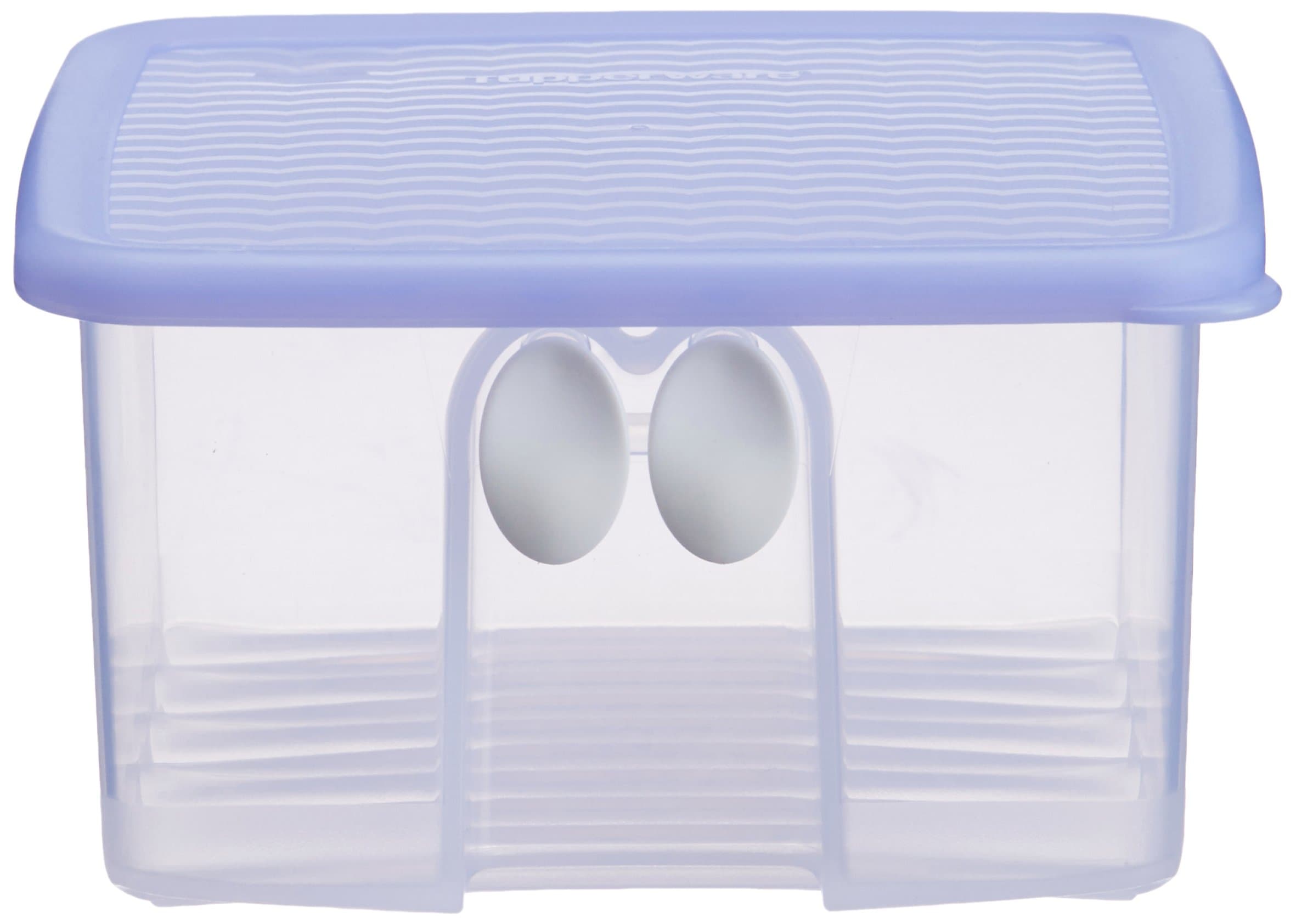 Tupperware Fridge Smart Small Box, 1 Litre (163, Multicolor, Plastic)