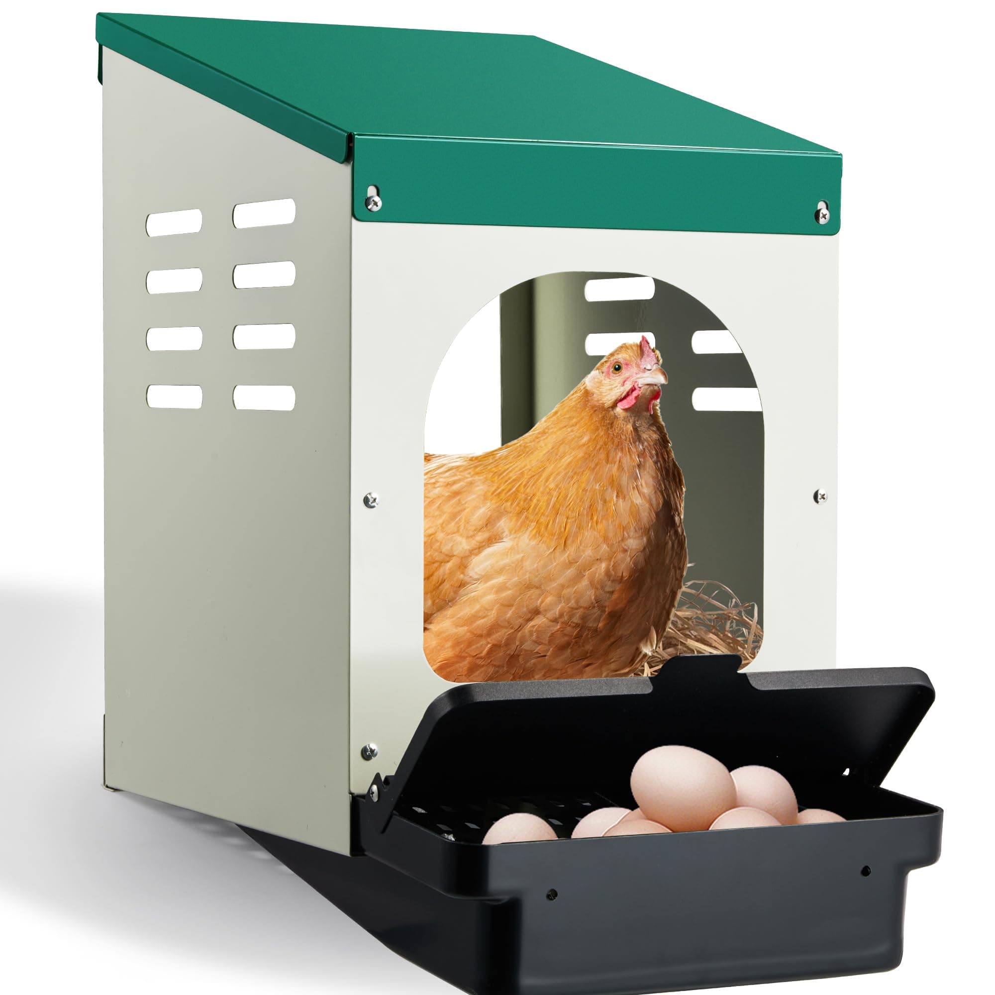 Chicken Nesting Boxes - Nesting Boxes for Chickens, Chicken Laying Boxes for Chickens, Chicken Laying Boxes with Perch, Rollout Egg Collection & Protect