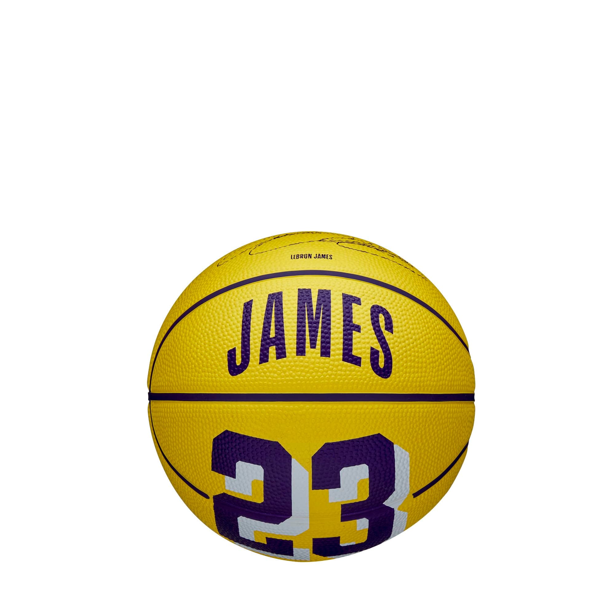 Mini NBA Player Icon LeBron