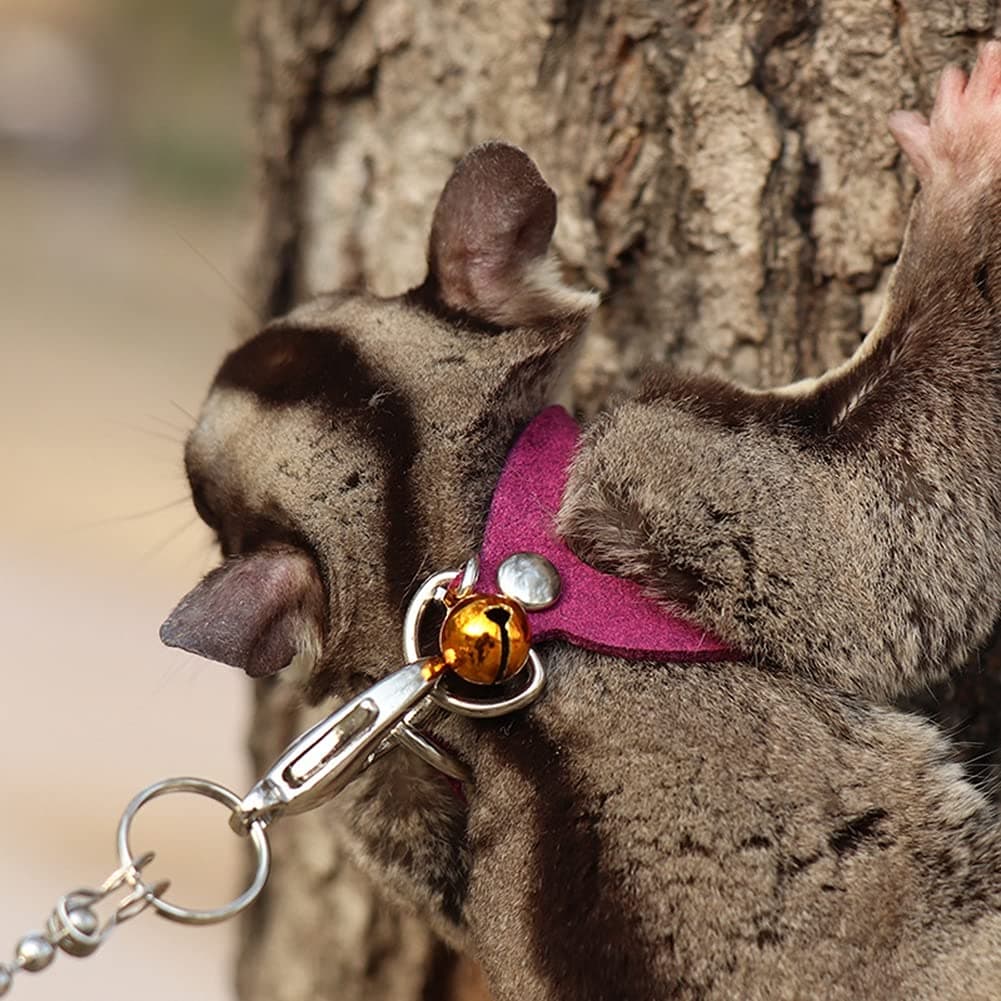 3 Pack Sugar Glider Harness and Leash Set - Adjustable Traction Rope Strap Anti-Biting Chain Rope, Small Animal Training Walking Vest Leash for Sugar Glider Squirrel Hamster Rat Birds Reptile (Purple)