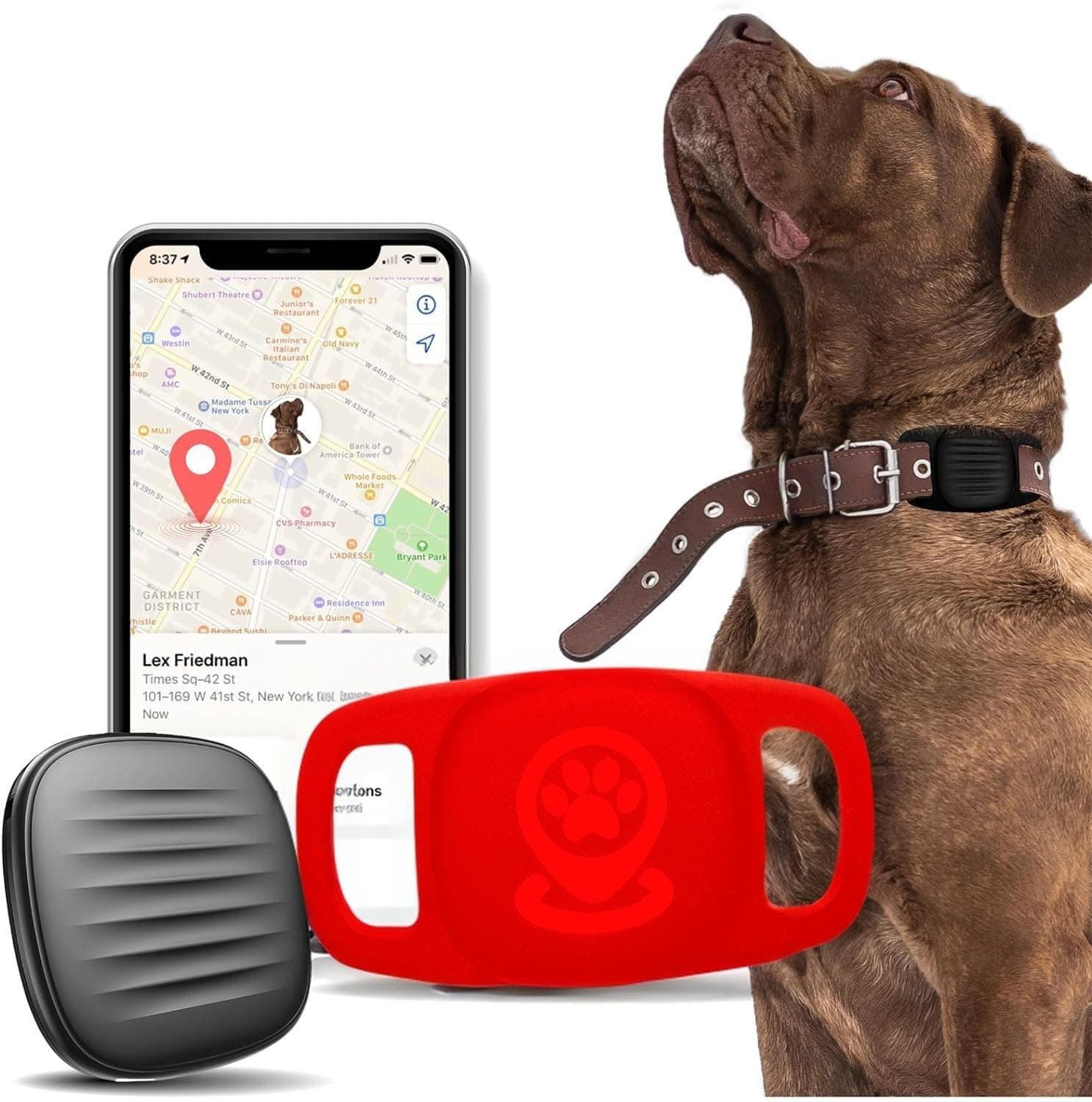 Pet Tracker for Dog, Dog Tracker Smart Pet Location Tracker with Tracker Holder, Item Finder MFi Certificated Tracking Device, No Monthly Fee, Works with Find My (iOS Only) Not GPS Tracker Blue