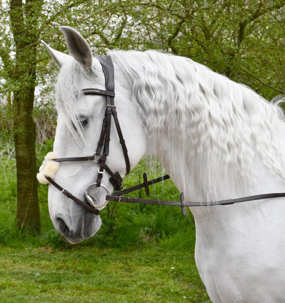 Anatomical Mexican Bridle