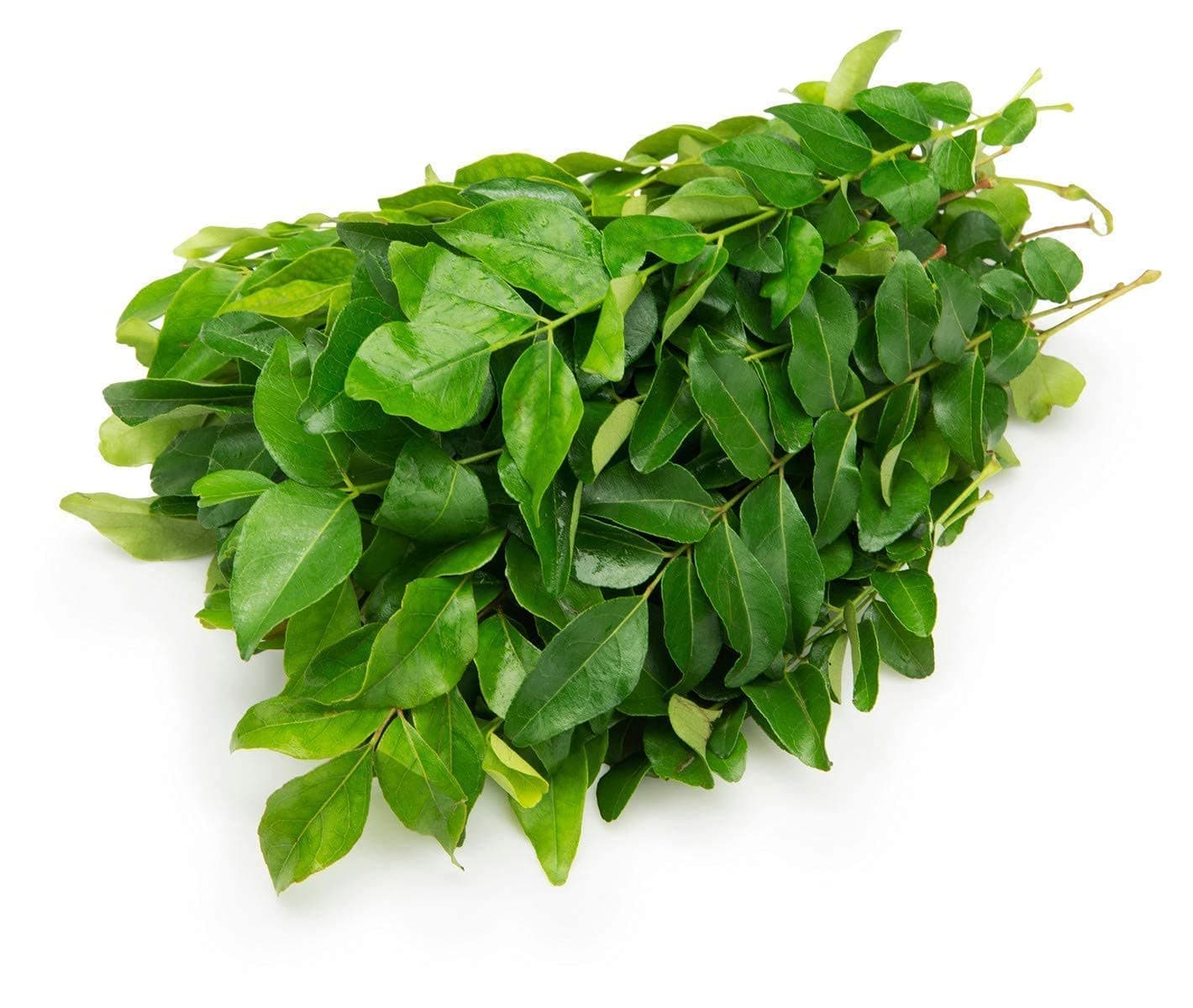 Fresh Curry Leaves, 100 grams Bunch