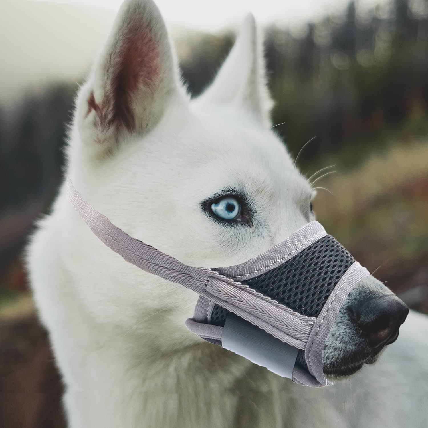 Dog Muzzle, Air Mesh Muzzle for Biting Barking Chewing, Adjustable for Small Medium Large Dogs