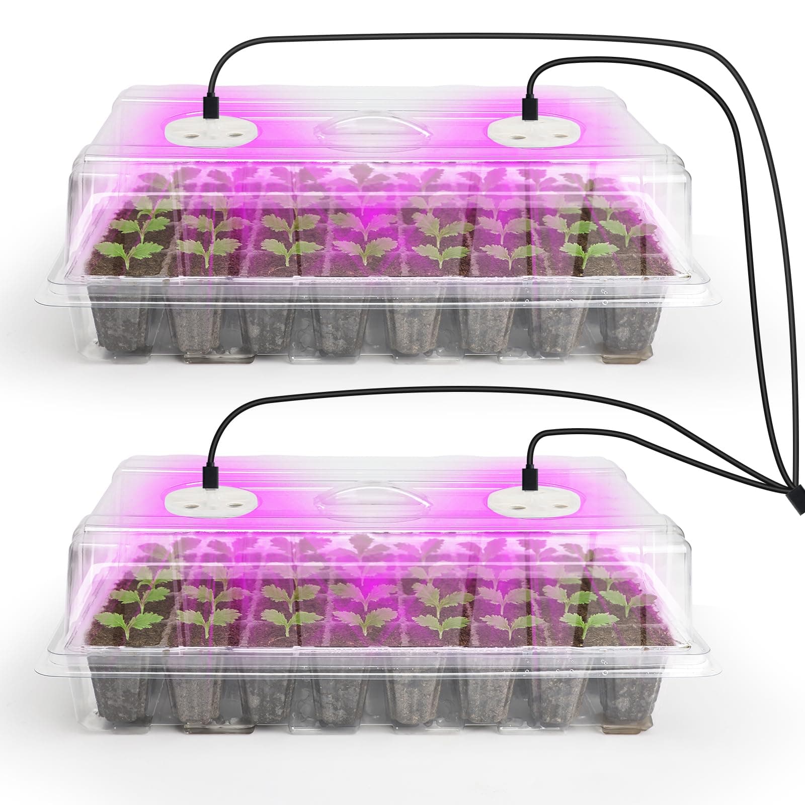 2-Pack Seed Starter Tray with Plant Light, Elevated Seedling Starter Trays Kits with Adjustable Humidity Domes and Clear Cell Tray, 12 Full Spectrum Led Lamp Beads for Plants Indoor-Clear