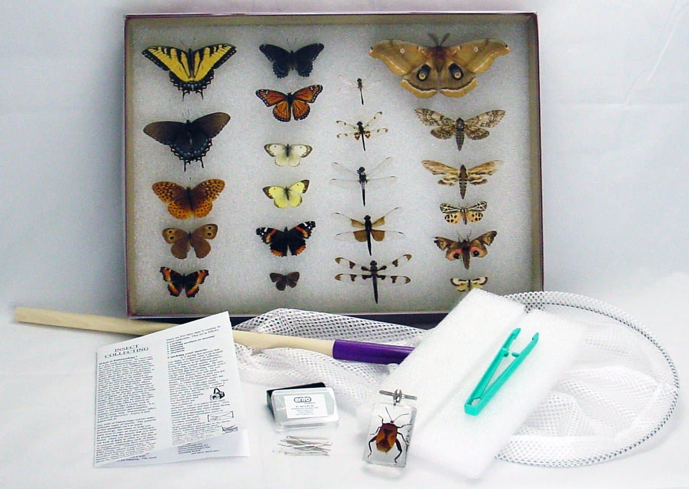 Ento Insect Collecting Kit - Bug Collecting Starter Kit