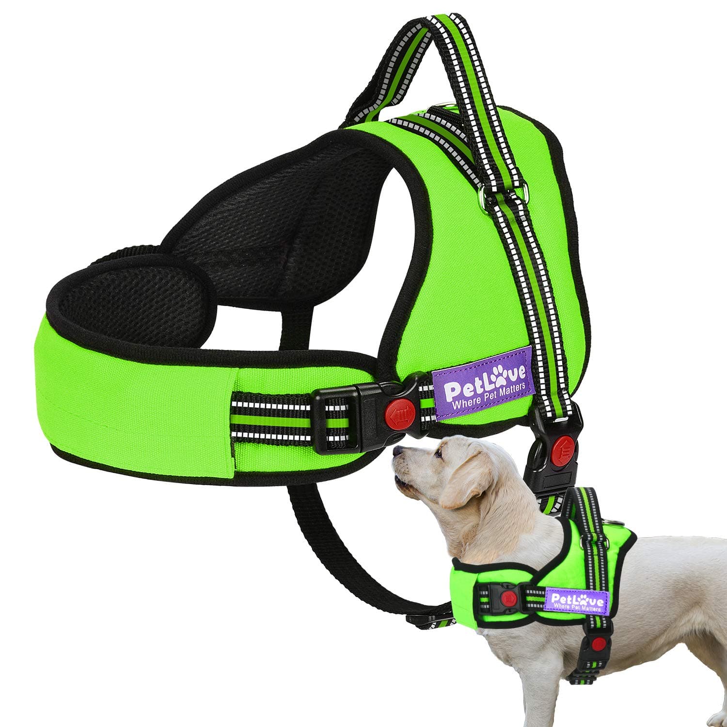 PetLoveDog Harness, Adjustable Soft Leash Padded No Pull Dog Accessories for Small Medium Large Dogs, Green