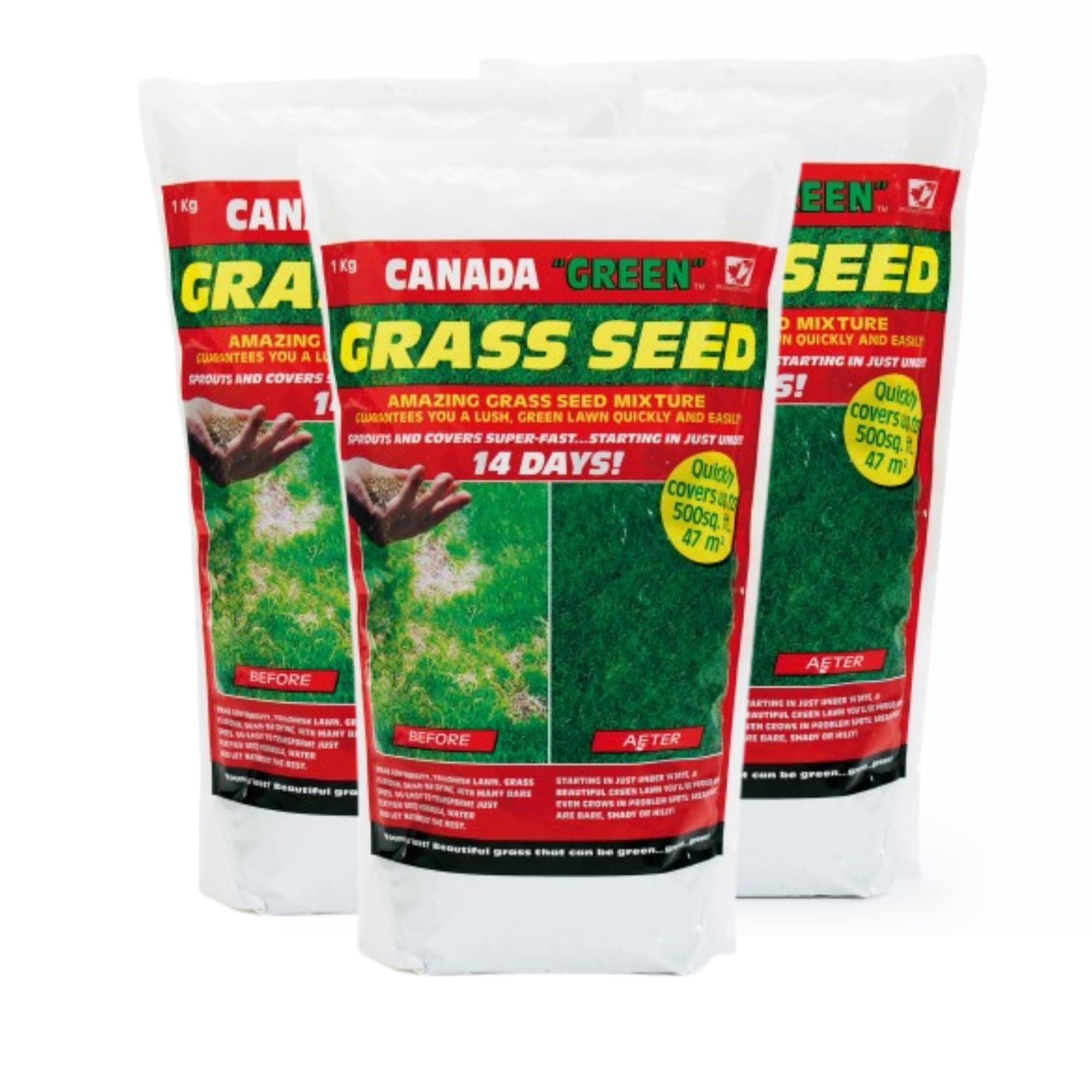 36043 Grass Seed