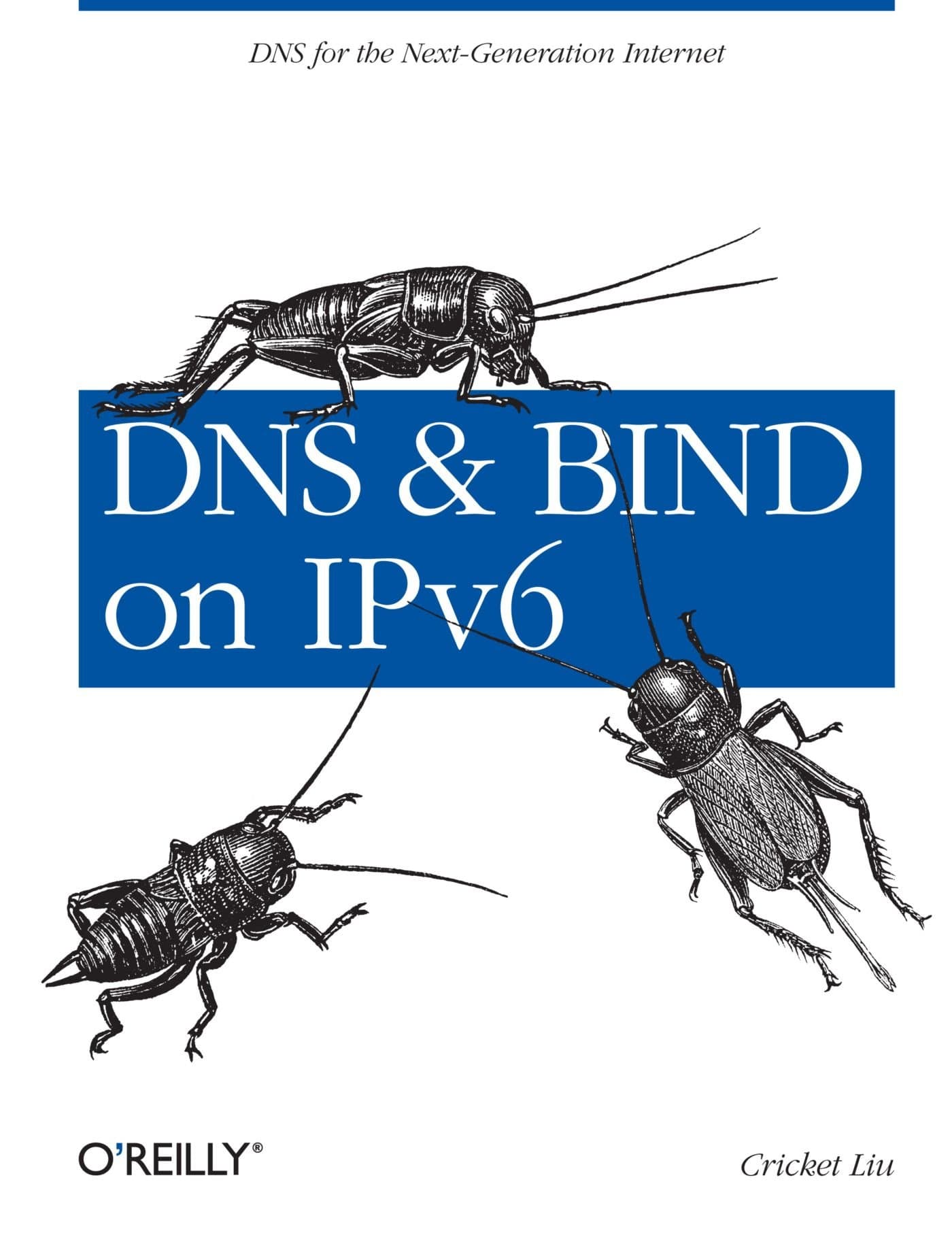 DNS and BIND on IPv6